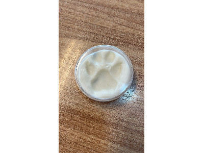 Marca das patinhas no Biscuit (Mascotes pequenos)
